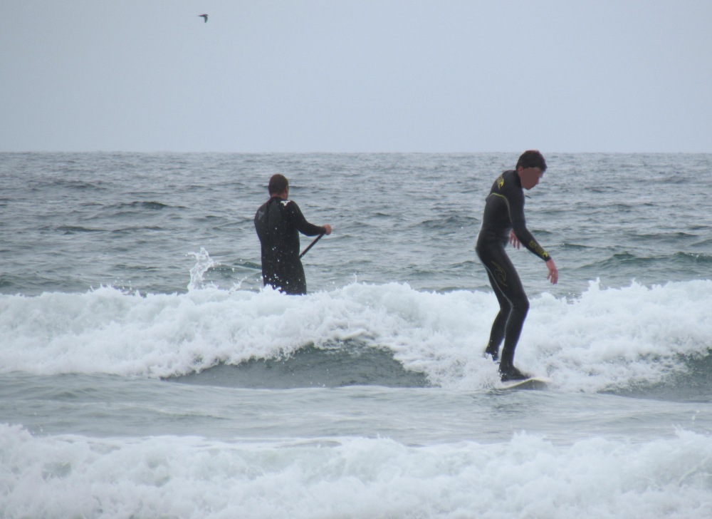 Surf (1)